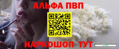 гашик Боровичи