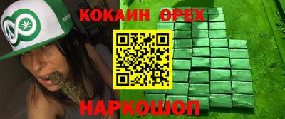 гашик Боровичи