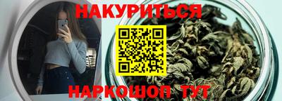 гашик Боровичи