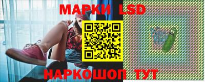 гашик Боровичи