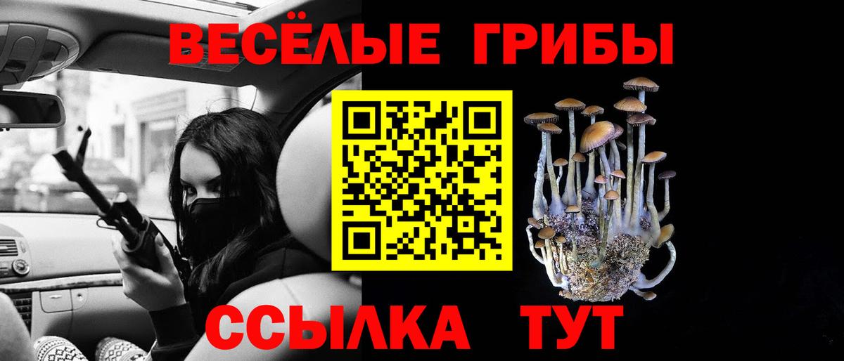Елабуга  Псилоцибиновые грибы MAGIC MUSHROOMS  Вход с VPN  Псилоцибиновые грибы мицелий 